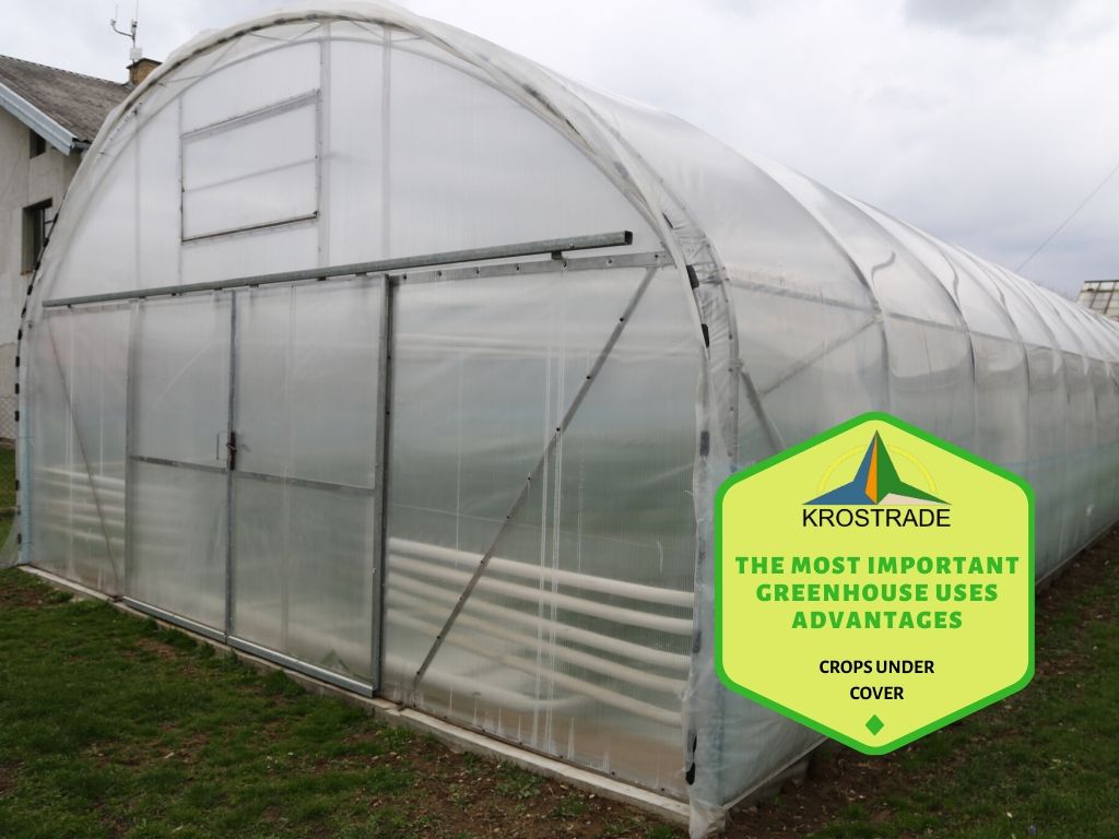What is the Purpose of a Greenhouse