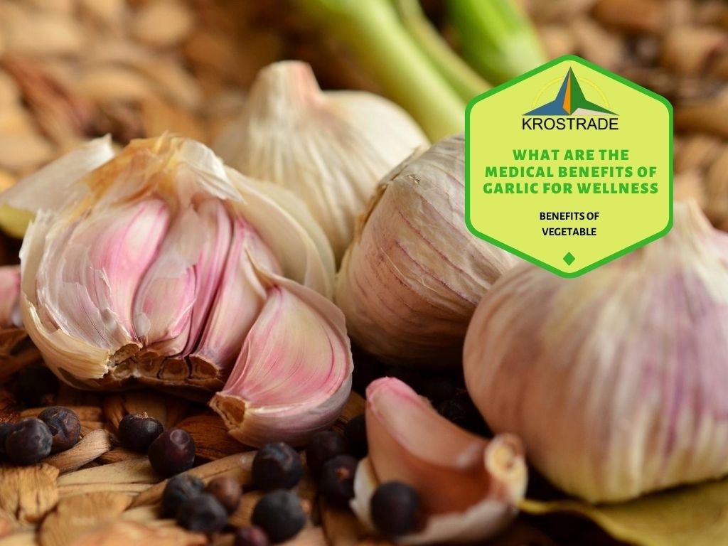Proven Health Benefits Of Garlic