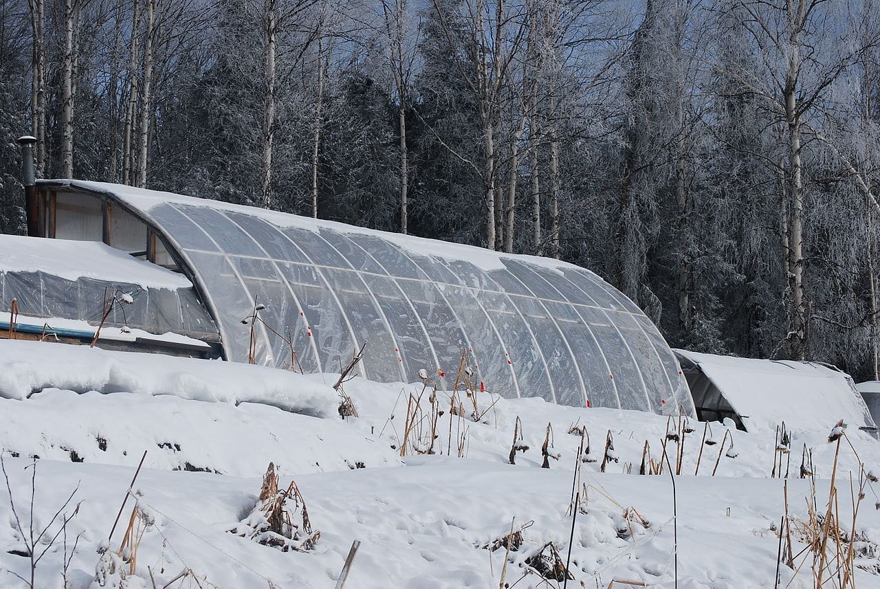 Is an Unheated Greenhouse Frost-Free