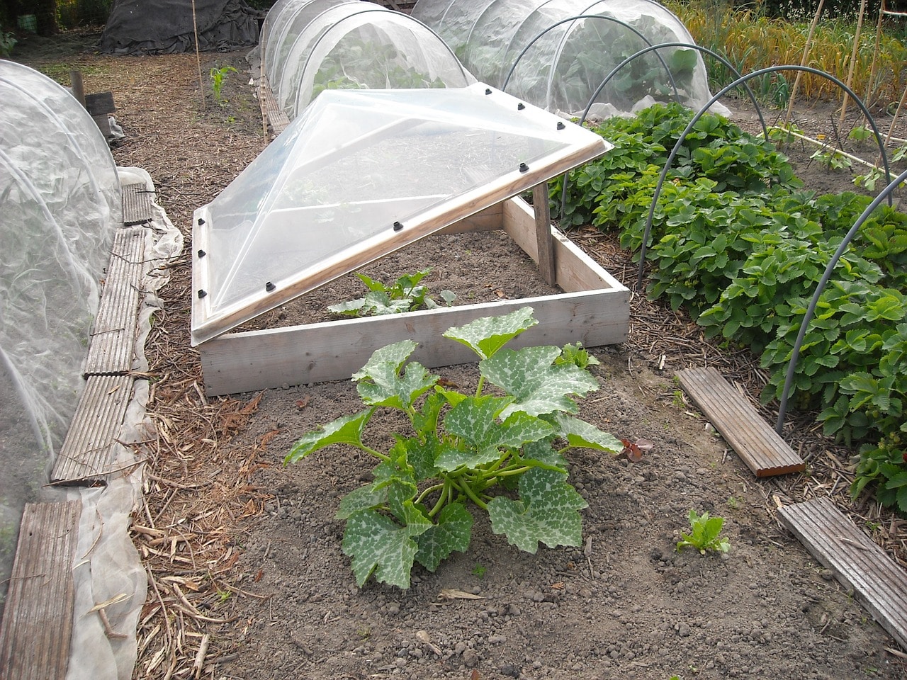 How to Make a Small Greenhouse for Seedlings