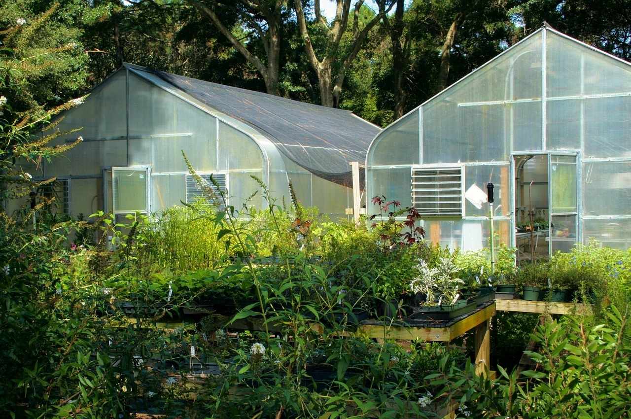 How to Heat a Hobby Greenhouse for Free in 3 Easy Ways