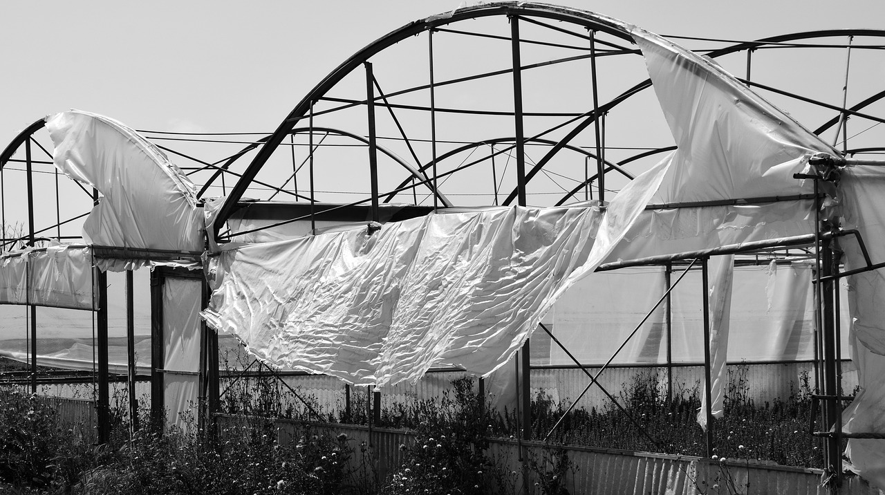 How Do I Protect My Greenhouse From Wind