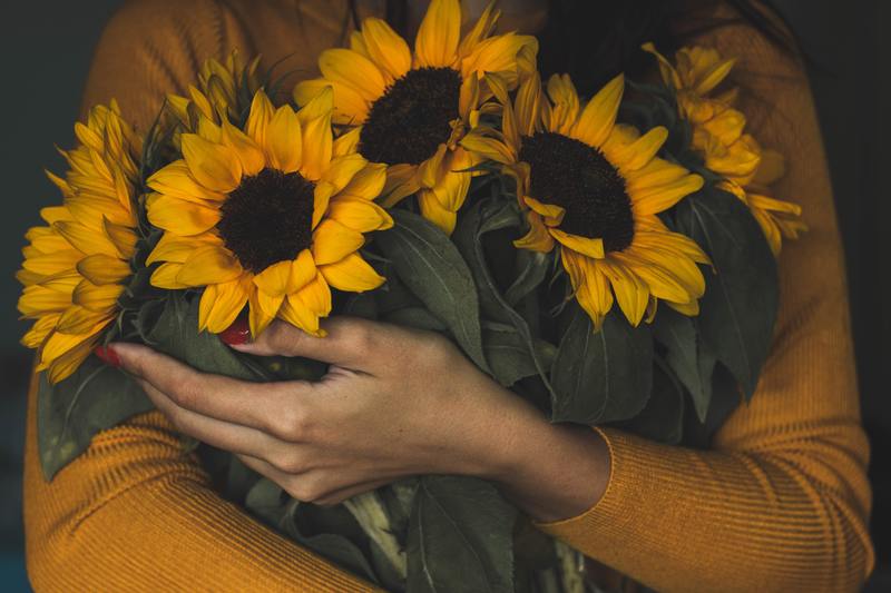 How to Take Care of Cut Sunflowers: 10 Easy-to-Follow Steps