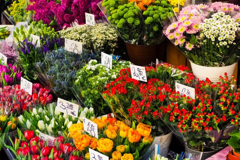 How to Sell Cut Flowers from Your Little Garden or Farm