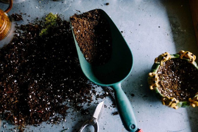 How To Dispose Of Potting Soil The Best Way