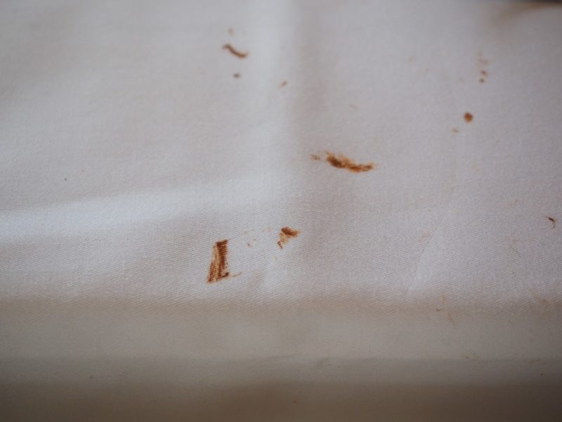 how to get rid of bed bug stains