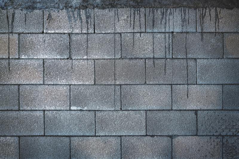 how to get rid of mold on concrete block walls