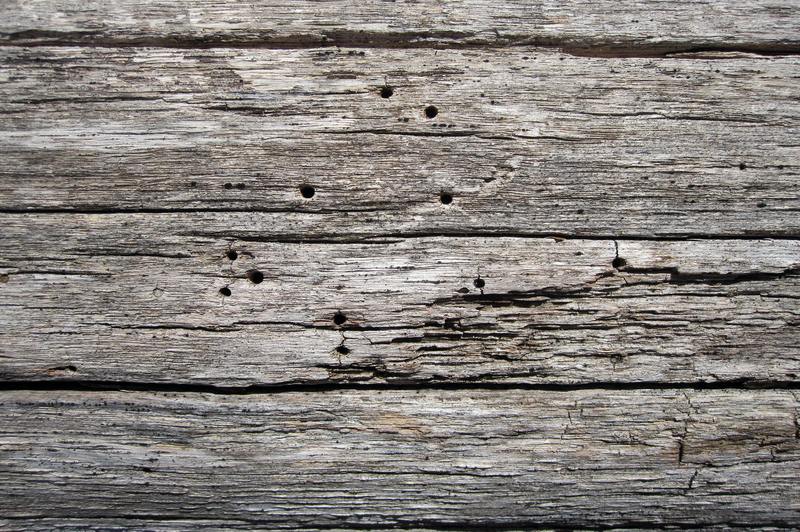 how to repair water damaged natural wood
