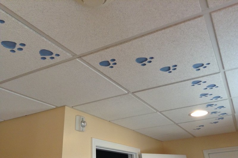 how to replace water damaged ceiling tiles