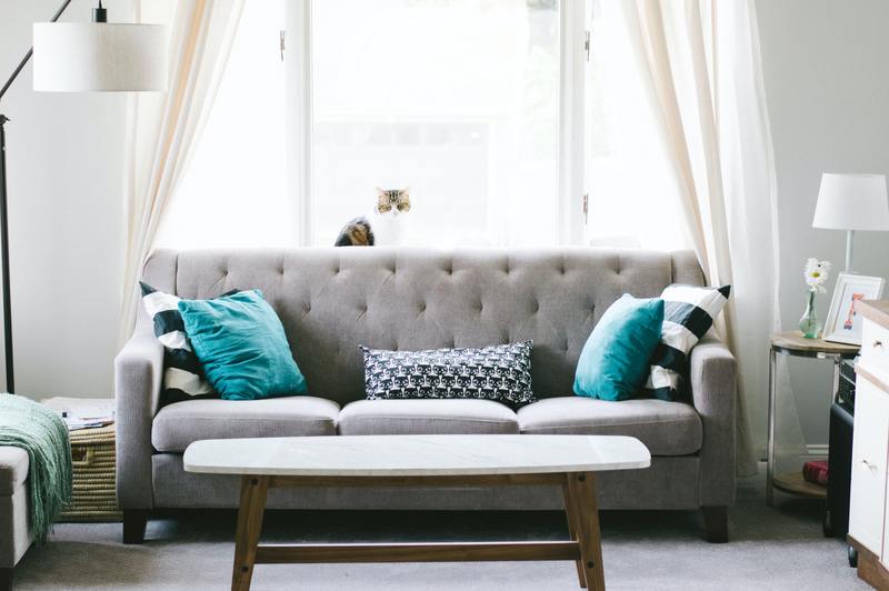 how to remove mold from couch cushions