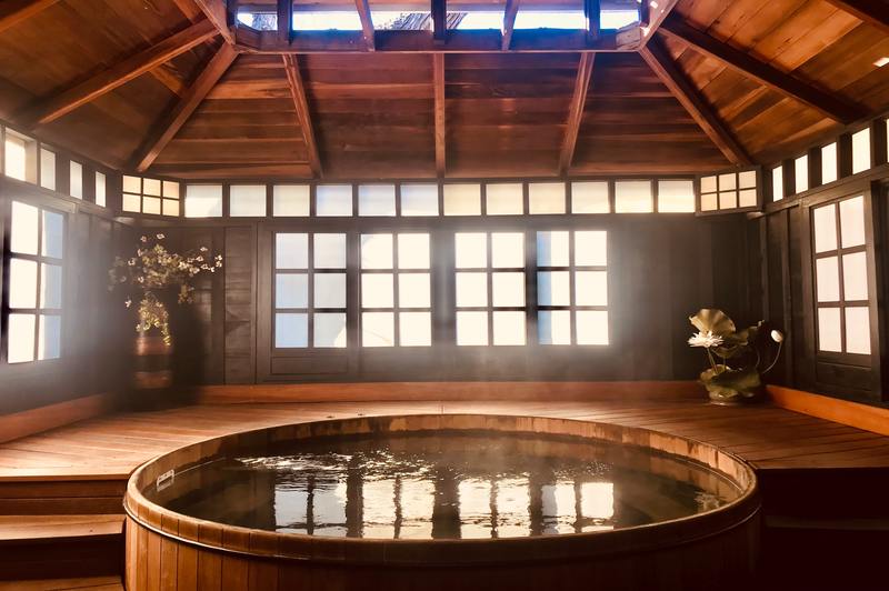 how to get rid of black mold in a hot tub