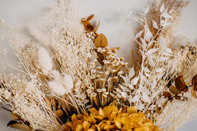 how to get rid of mold on dried flowers