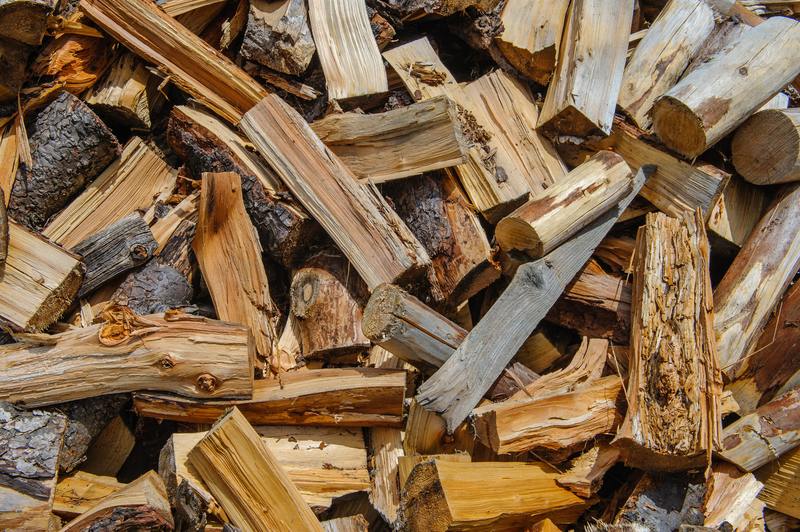 how to get rid of mold on firewood