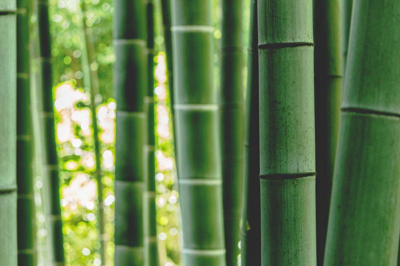 how to remove mold from bamboo