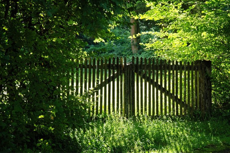 how to clean wood fence with pressure washer