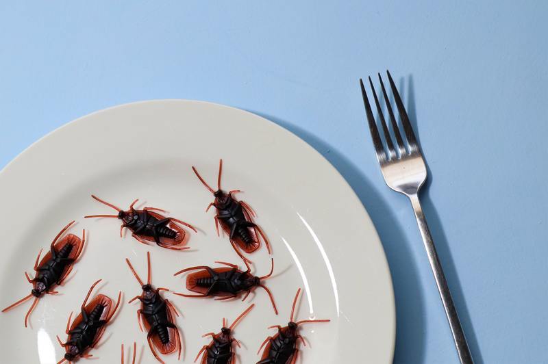 how often should pest control be done for roaches