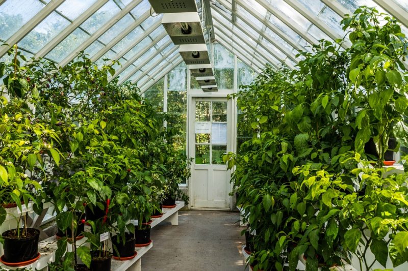 what is the best type of heater for a greenhouse