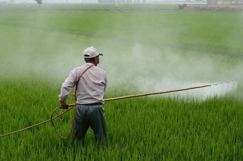 how to recognize pesticide poisoning
