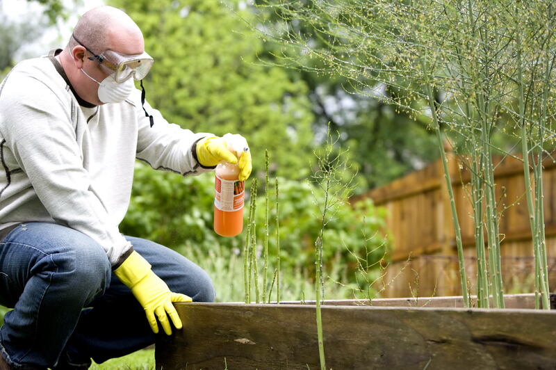 what are the risks of using pesticides