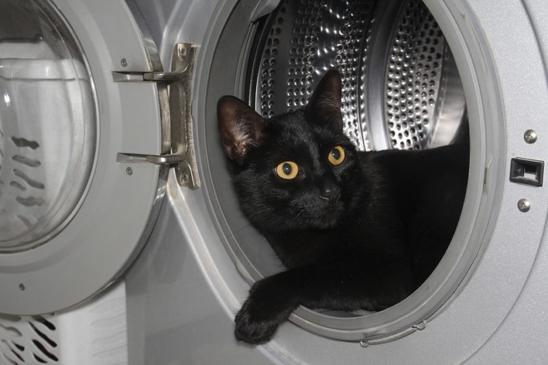 how to keep cat from going behind washer and dryer